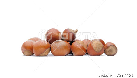Hazelnuts Hazelnuts 7537459