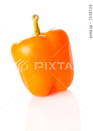 Orange paprica Orange paprica 7538728