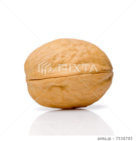 Walnut Walnut 7538785