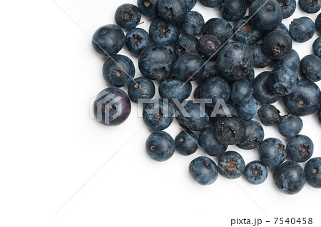 Blueberry Blueberry 7540458