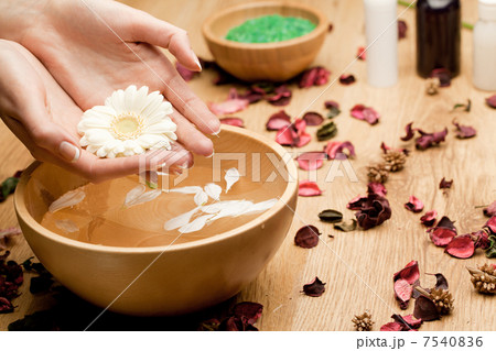 Spa.Womans Hands with flower Spa.Womans Hands with flower 7540836