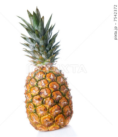 Pineapple Pineapple 7542372