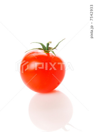 Tomato 7542933