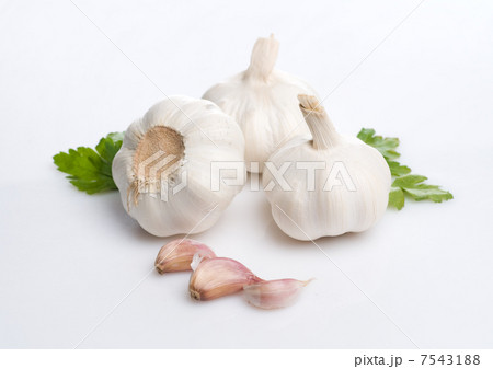 Garlic Garlic 7543188