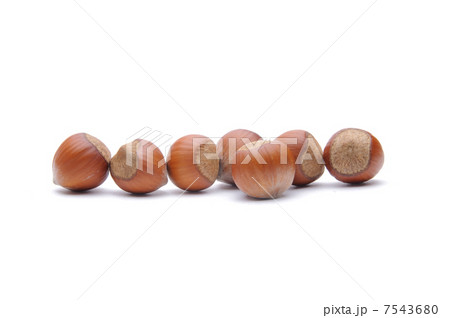 Hazelnuts Hazelnuts 7543680