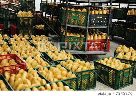 Bread factory 7545270