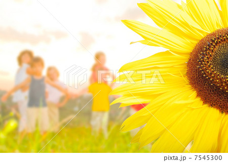 Happy childhool on green meadow, behind sunflower 7545300