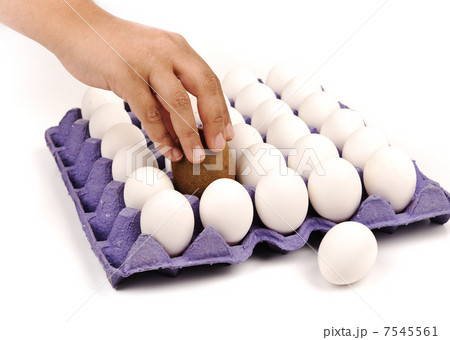 Kiwi, pretending to be an egg. White background. Replacement. Human action. Kiwi, pretending to be an egg. White background. Replacement. Human action. 7545561