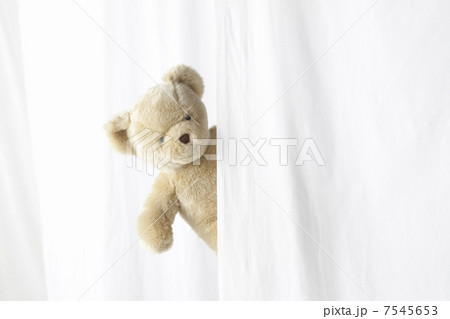 クマのぬいぐるみ クマのぬいぐるみ 7545653