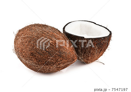 coconut 7547197