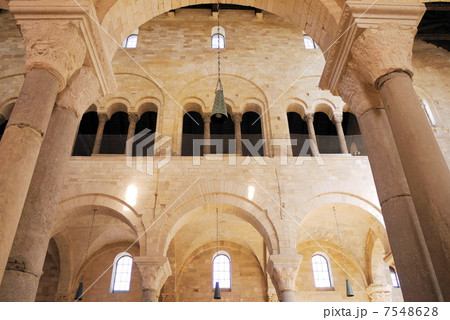 トラーニ　Trani　大聖堂　Cattedrale　マトロネオ 7548628