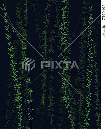 植物柄のパターン 7549496