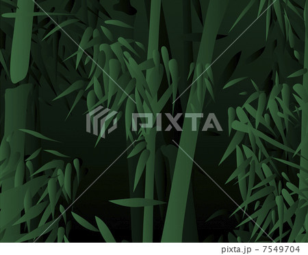 竹林 竹林 7549704