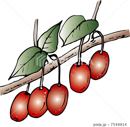 グミのイラスト素材