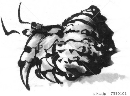ヤドカリのイラスト素材 7550101 Pixta