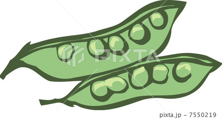 エンドウ豆のイラスト素材