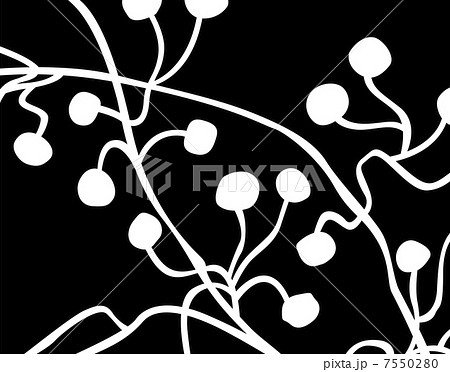 ワールド柄 ワールド柄 7550280