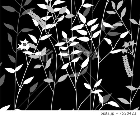 植物柄のパターン 7550423