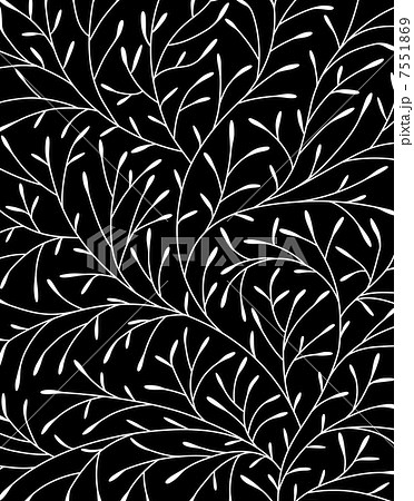 ノンセクション柄 ノンセクション柄 7551869