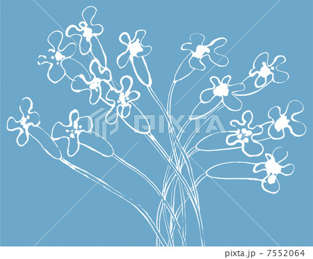花柄のパターン 7552064