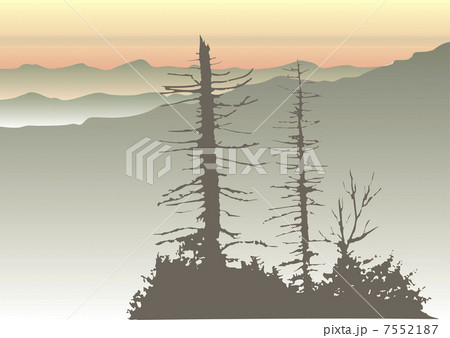 霧の夏山 7552187