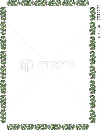 ブドウの長方形飾り枠のイラスト素材