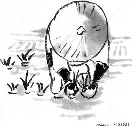 田植えのイラスト素材 7552621 Pixta