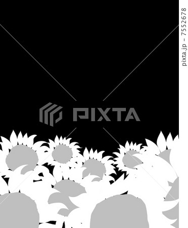 パターン 7552678