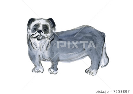 ブルドッグ ブルドッグ 7553897