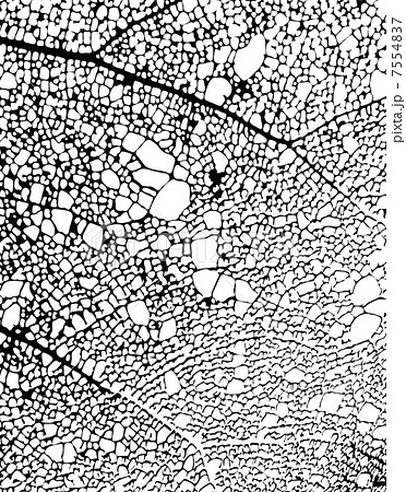 抽象絵画的パターン 抽象絵画的パターン 7554837
