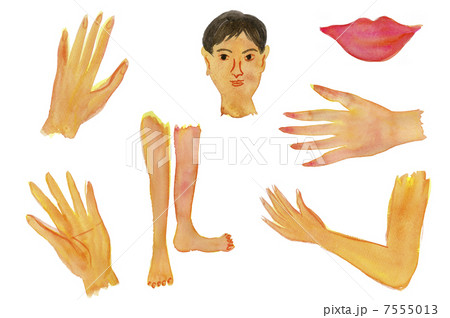 からだのイラスト素材 [7555013] - PIXTA