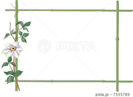 テッセンのいげた 7555789