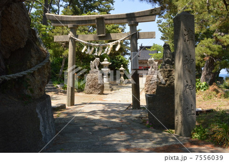 佐渡　東海岸　津神神社 7556039