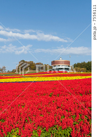 網走　天都山のはなてんと 7556111