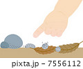 ダンゴムシ発見 7556112