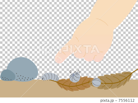 D螂發現了 7556112