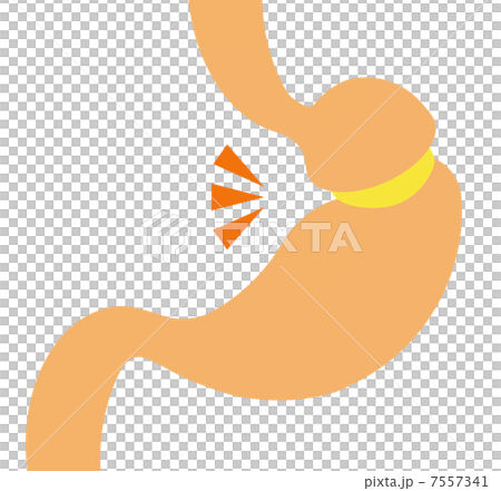 肚子裹著一圈 肚子裹著一圈 7557341