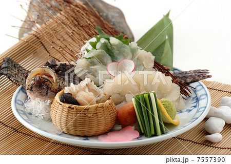 魚 魚料理 刺身 おこぜ 高級魚 和食 日本食 お造りの写真素材