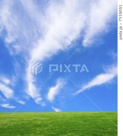 草原と青空 7559091