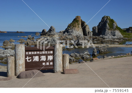 佐渡　七浦海岸　夫婦岩 7559145