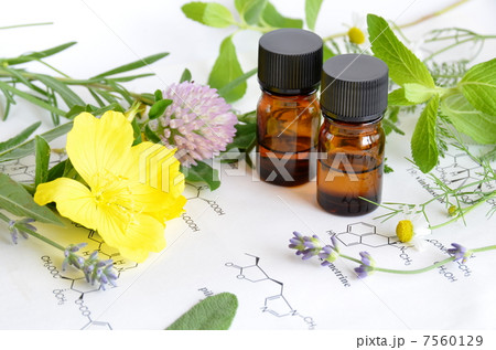 ハーブと精油と科学 ハーブと精油と科学 7560129