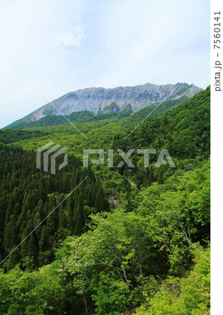 初夏の新緑の大山 7560141
