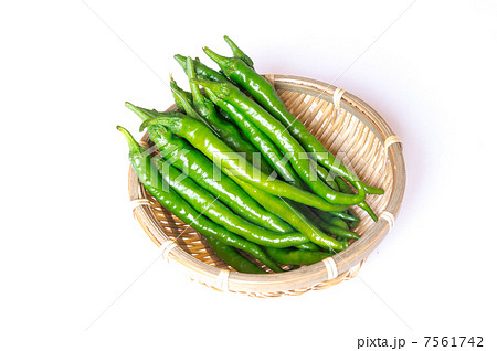 甘長とうがらし 甘長とうがらし 7561742