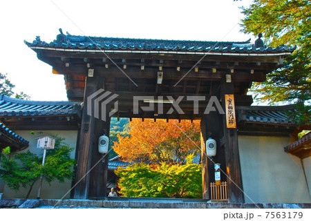 実相院の門（京都市左京区岩倉上蔵町） 7563179