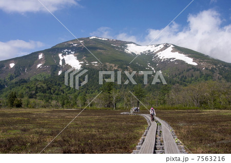 尾瀬ヶ原 7563216