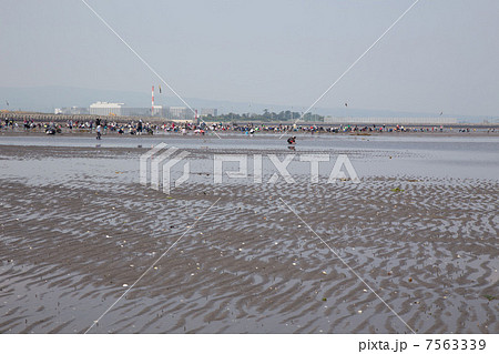 中津干潟の潮干狩り風景 7563339
