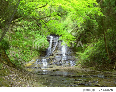 夏の渓谷 7566020