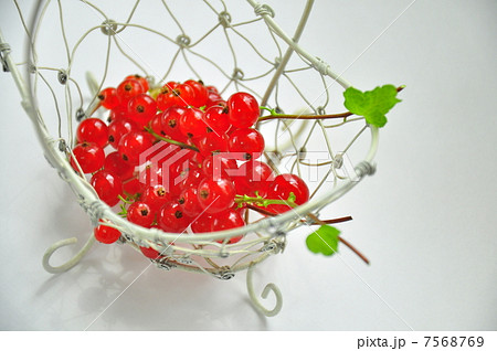 すぐりの実　かご盛り 7568769