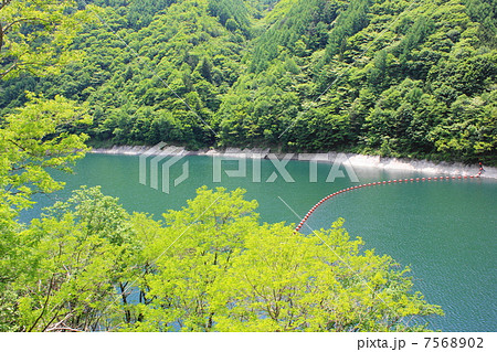 奈良井ダム湖 奈良井ダム湖 7568902