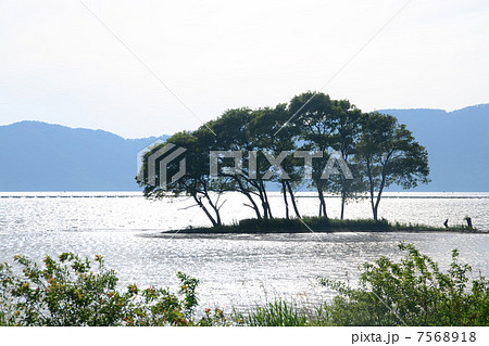 琵琶湖 湖北 琵琶湖 湖北 7568918